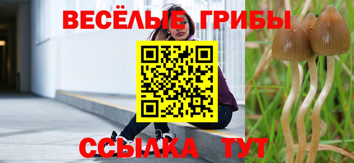 Псилоцибиновые грибы Psilocybe  Вход с VPN  купить наркотики сайты  Владивосток  Псилоцибиновые грибы Psilocybe 